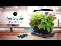 Conveniently comes with both a stand and a hanging kit. The Smart Countertop Garden Harvest Wi Fi Youtube