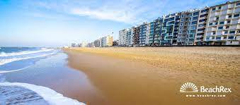In oostende mag je in april, mei, juni en september voor 10:00 en na 18:30 en in juli en augustus voor 10:00 en na 20:00 vrij wandelen met de hond op het strand, met uitzondering van de zone sportstrand (vanaf de trap t.h.v. Strand Mariakerke Bad Oostende Westvlaanderen Belgium Beachrex Com