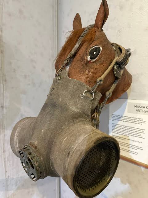 Horse gas mask used during WWII