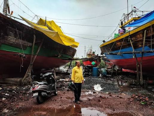 The shrinking pomfret of suburban Mumbai | United Nations Development Programme