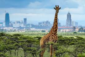 Tourism - Kenya Investment Authority (KenInvest)