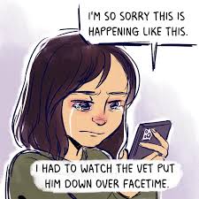 Sia Mistry Comics 🇮🇳🇺🇸