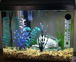 Filter tipe ini terdiri dari pompa powerhead, selang, dan kotak busa filter dengan posisi diatas aquarium. 30 Contoh Gambar Desain Filter Aquarium Arwana Lengkap Terbaru Desain Id