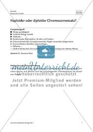 Fast alle wirbeltiere besitzen zwei chromosomensätze: Haploider Oder Diploider Chromosomensatz Meinunterricht