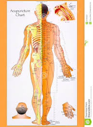 Traditional Chinese Acupuncture Chart Editorial Stock Image