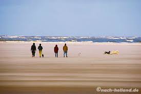 Wenn sie einen bungalow direkt am strand hollands mieten, können sie schöne spaziergänge genießen und am breiten strandstrand entspannen. Urlaub Mit Hund In Holland Infos Tipps Fur Die Niederlande Mit Hund