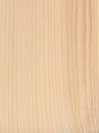 Advantages And Disadvantages Pine Wood Eastern White Pine The Wood Database Lumber Identification Pine Wood Texture Light Wood Texture Wood Type Texture