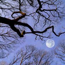 Play Moonlight Sonata Music Sheet Play On Virtual Piano