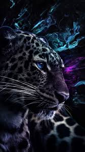 Maybe you would like to learn more about one of these? Heterochromia Lion Iphone Wallpaper Iphone Wallpapers Iphone Wallpapers Wild Animal Wallpaper Jaguar Wallpaper Tiger Spirit Animal