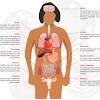 Female human body … desired graduation line. 1