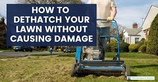 Maybe you would like to learn more about one of these? How To Dethatch A Lawn Why You Need To And When You Should The Backyard Master