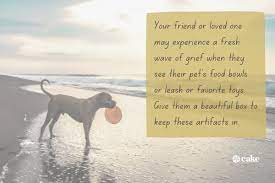 Maybe you would like to learn more about one of these? What To Get Someone Whose Dog Died 15 Gift Ideas Cake Blog