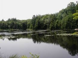 New hampshire's white mountains are jam packed with attractions. Manchester Nh Mountain Trail