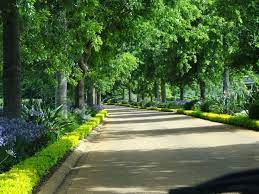 Delaire Graff A Stunning Wine Estate Garden Jardin Estate Garden Estates Garden