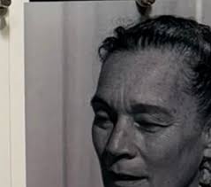 Reel by OATES PILZ (@oatespilz) · July 29, 2025