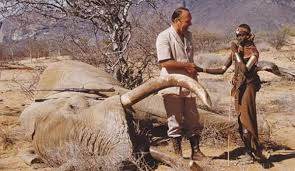 Elephant Hunting In Africa | Montefeltro