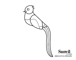 Dibujo De Quetzal Para Colorear Dibujos Net