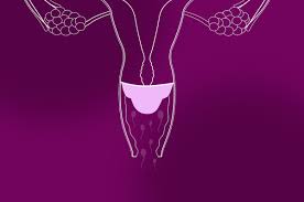 Image result for Cervical Cap