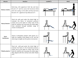 emg normalization method based on grade 3 of manual muscle