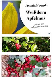 Weissdorn Apfel Mus Strahlemensch Weissdorn Pflanzen Obst Gerichte