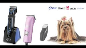 Posted in animales y plantas navegador de artículos. Maquinas Peluqueria Canina Comprar En Oferta Al Mejor Precio Youtube