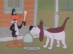 The daffy duck show (1978) first aired november 4 1978 and featured the animated comic shorts of warner brothers and looney please update cartoon8.tv your bookmarks and notify your friends that we have. Warner Bros Cartoons