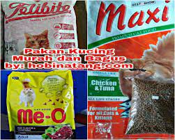 Tentu saja kucing membutuhkan makanan kucing terbaik agar tumbuh sehat. 8 Merk Makanan Kucing Yang Bagus Dan Murah Terbaru 2020 Hobinatang