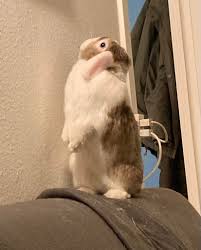 I dont think you belong there 🤦🏼‍♀️😅🤦🏼‍♀️