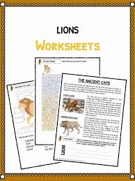 Lion Facts Worksheets Information For Kids