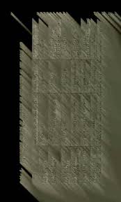 Image result for Buchnera longispicata