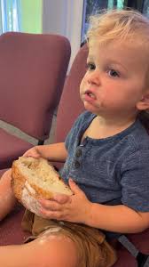 Can I pre-order 6 snuggle dogs and 2 cinnamon rolls?