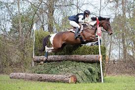 The pick 5 features the standard nyra $0.50 base bet and 15% takeout rate. Discover Eventing