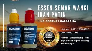 Essen Oplosan Semar Wangi Ikan Patin Rekomendasi Para Juara