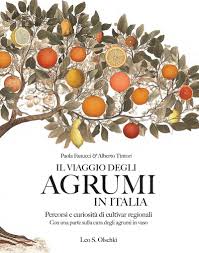 Il viaggio degli agrumi in Italia. Percorsi e curiosità di cultivar  regionaliCon una parte sulla cura degli agrumi in vaso - Paola Fanucci,  Alberto ...