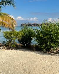 Lucrecia Wright (@crern77) • Instagram photos and videos