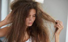 5 Easiest Ways To Repair Damaged Hair Without A Salon Visit – Skinkraft