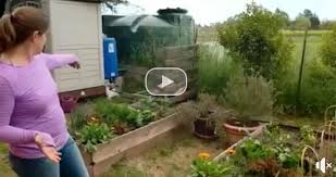 Rather than doing so, it is a good idea to water the roots or the soil bed. Diy Drip Irrigation System Irrigate From Rain Barrels By Gravity Feed