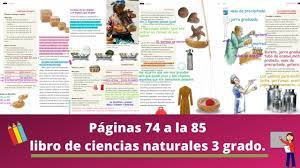 Aumento de la temperatura media de la tierra de de 0,2 grados centígrados por decenio (previsión). Paginas 74 A 85 Libro De Ciencias Naturales 3 Grado Youtube