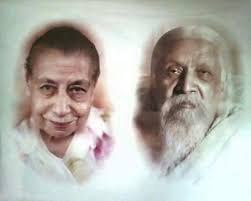 Has anyone experienced drone invasion of privacy