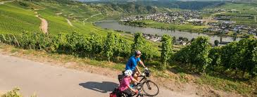 Radfahren In Mosel Saar Die Schonsten Radrouten