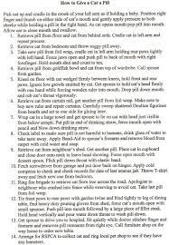 Dec 10, 2014 · instructions for giving your cat a pill. How To Give A Pill A Cat This Makes Me Laugh Every Time X Cool Pets Make Me Laugh Funny Cats