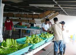 20/06/2020 extramuros, economía y nación. El Desempleo En Ecuador Esta En El 5 72 Segun El Inec La Republica Ec