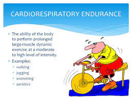 Chapter Eleven Understanding The Cardiorespiratory System And Cardiorespiratory Training Zones Ppt Video Online Download