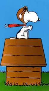 Sopwith camel was an american rock band associated with the san francisco psychedelic rock the sound of the band's first album, and the vaudevillian hello, hello in particular, was more snoopy is flying back to the aerodrome in his sopwith camel. Sopwith Camel Peanuts Wiki Fandom