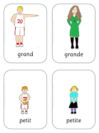 French Flash Cards Basic Vocabulary French Flashcards Learn French French Language Lessons