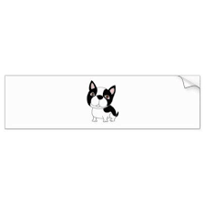 Black And White Boston Terrier Cartoon Funny Boston Terrier Puppy Dog Cartoon Bumper Sticker Dog Puppy Dogs Doggy Pup Hound Love Pet Best Fri Boston Terrier Puppy Boston Terrier Funny Dog Stickers