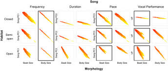 Magi colour 4695 driver / magicolor 4695mf scanner driver download. Ecological Drivers Of Song Evolution In Birds Disentangling The Effects Of Habitat And Morphology Derryberry 2018 Ecology And Evolution Wiley Online Library