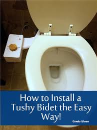 Then connect the flexible hose to the cold supply inlet. Condo Blues How To Install A Bidet Attachment
