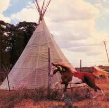 American Indian Horse History Aihr