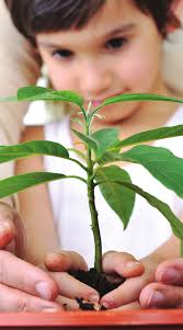 HRTN_Qrtly NL_April23.indd